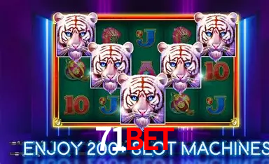 71bet: A Experiência de Casino com Jogos de Mesa ao Vivo